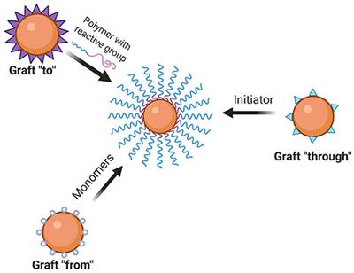 Nanohybrids as Protein-Polymer Conjugate Multimodal Therapeutics